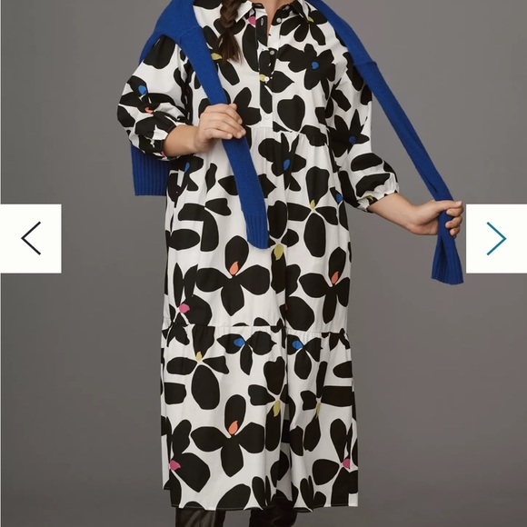 Anthropologie bettina dress - Picture 4 of 7